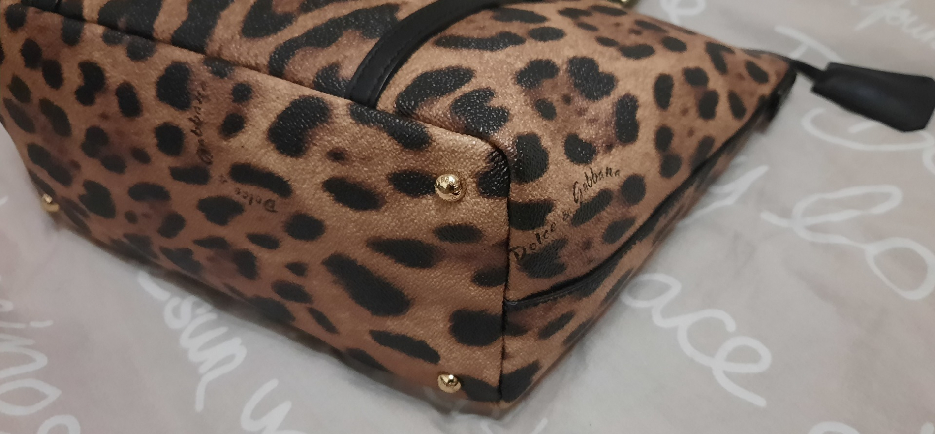 Dolce&Gabbana Shopping Crespo Léo