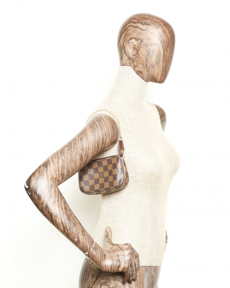Louis Vuitton Damier Mini Pochette Accessories Bag