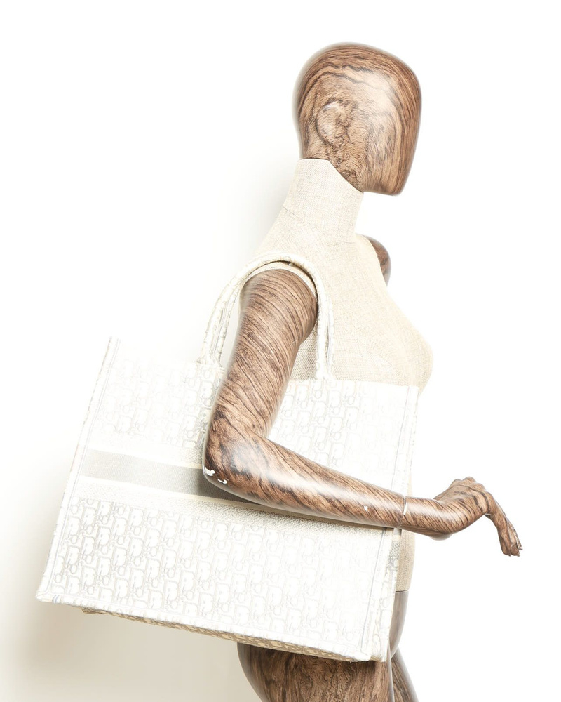 Christian Dior Large Oblique Book Tote Bag