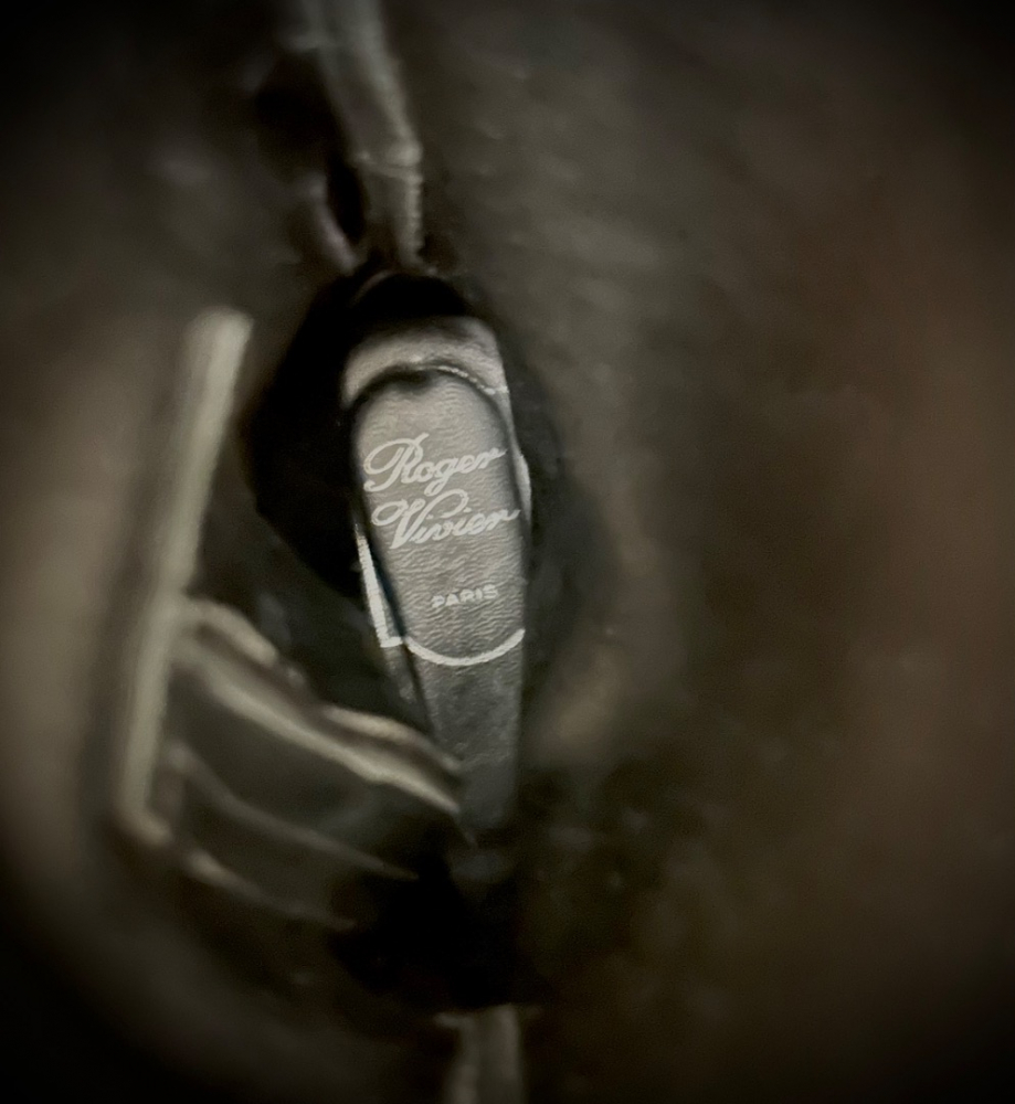 Roger Vivier Gommettine boots