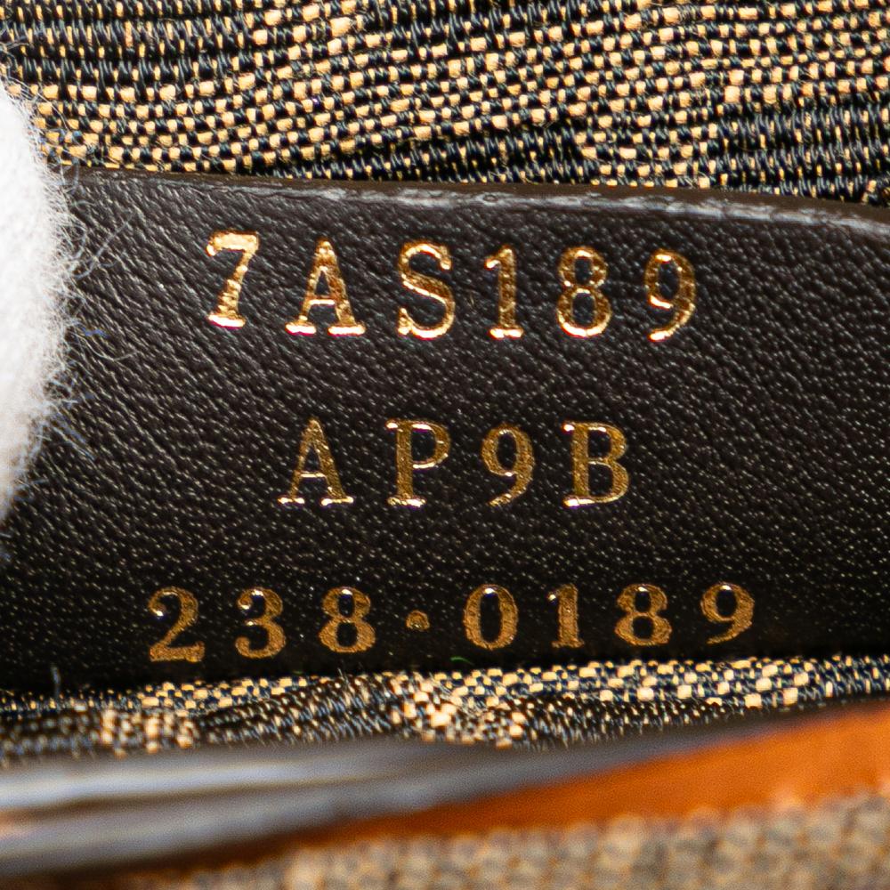 Fendi AB Fendi Brown Straw Natural Material Nano Zucca and Canvas Step Out Bag Italy