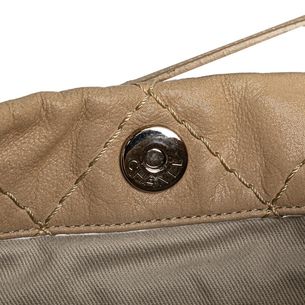 Chanel B Chanel Brown Beige Calf Leather Iridescent skin Sea Hit Tote Italy