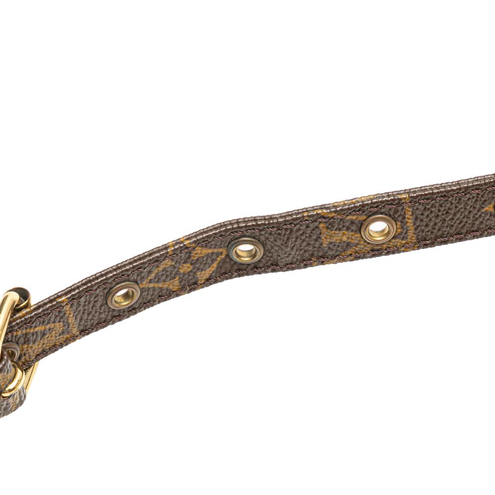 Louis Vuitton B Louis Vuitton Brown Monogram Canvas Canvas Monogram Danube France