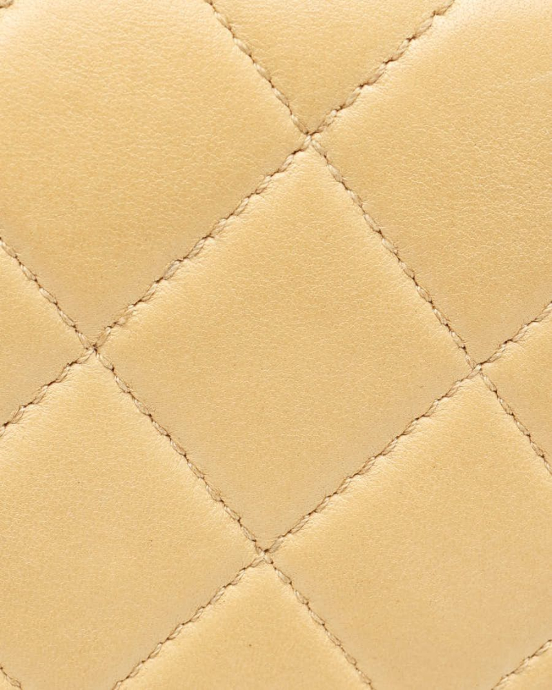 Chanel Classic Medium Plastic Chain Single Flap Bag