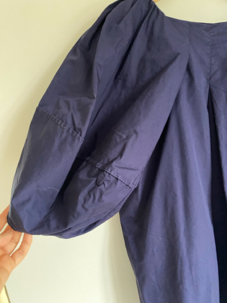 Cos Puff sleeves top