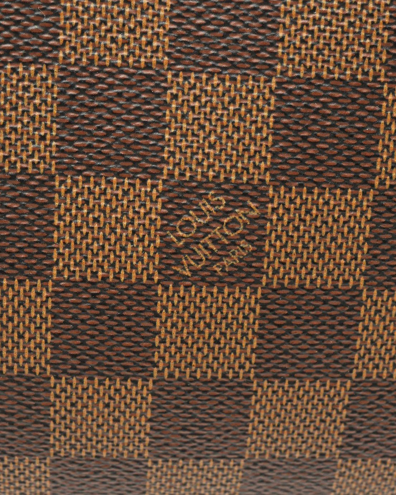 Louis Vuitton Damier Ebene Ribera MM