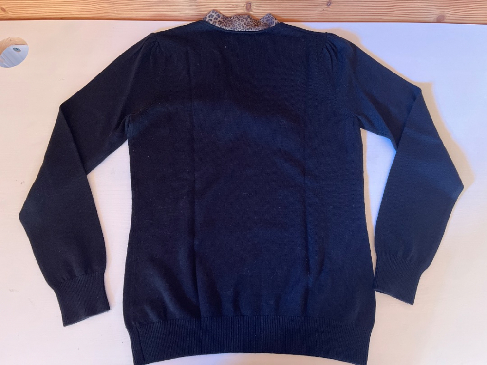 Alberto Bini V-Kragen