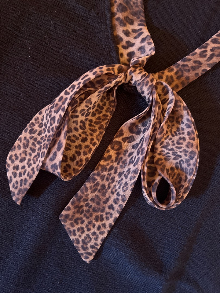 Alberto Bini V-Kragen