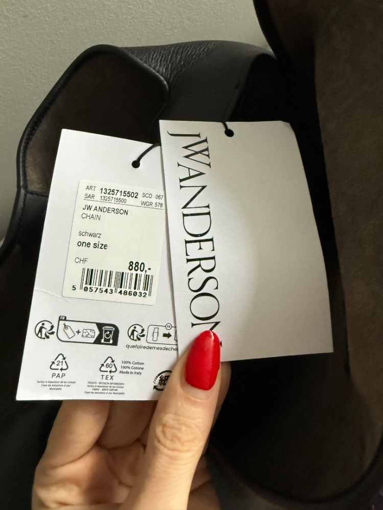 J W Anderson Small chain Bag - new