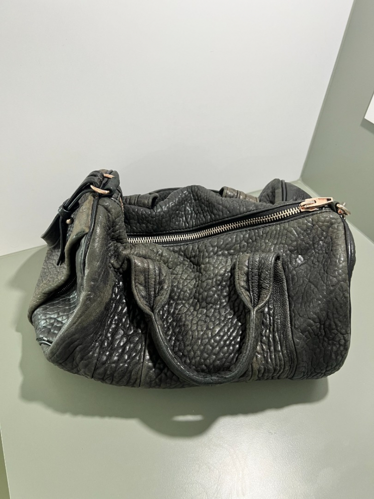 Alexander Wang Rocco