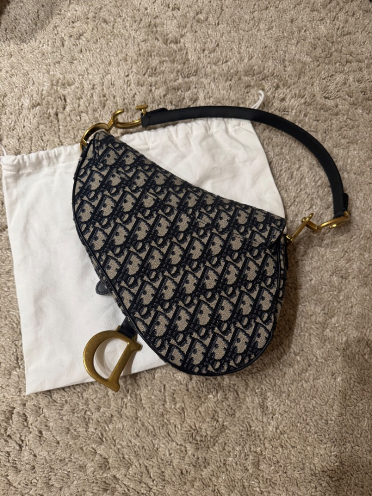 Christian Dior Saddle M canvas