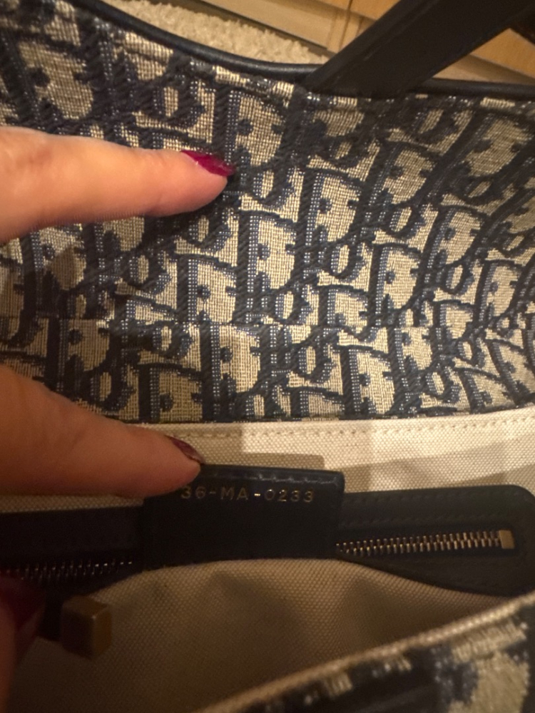 Christian Dior Saddle M canvas