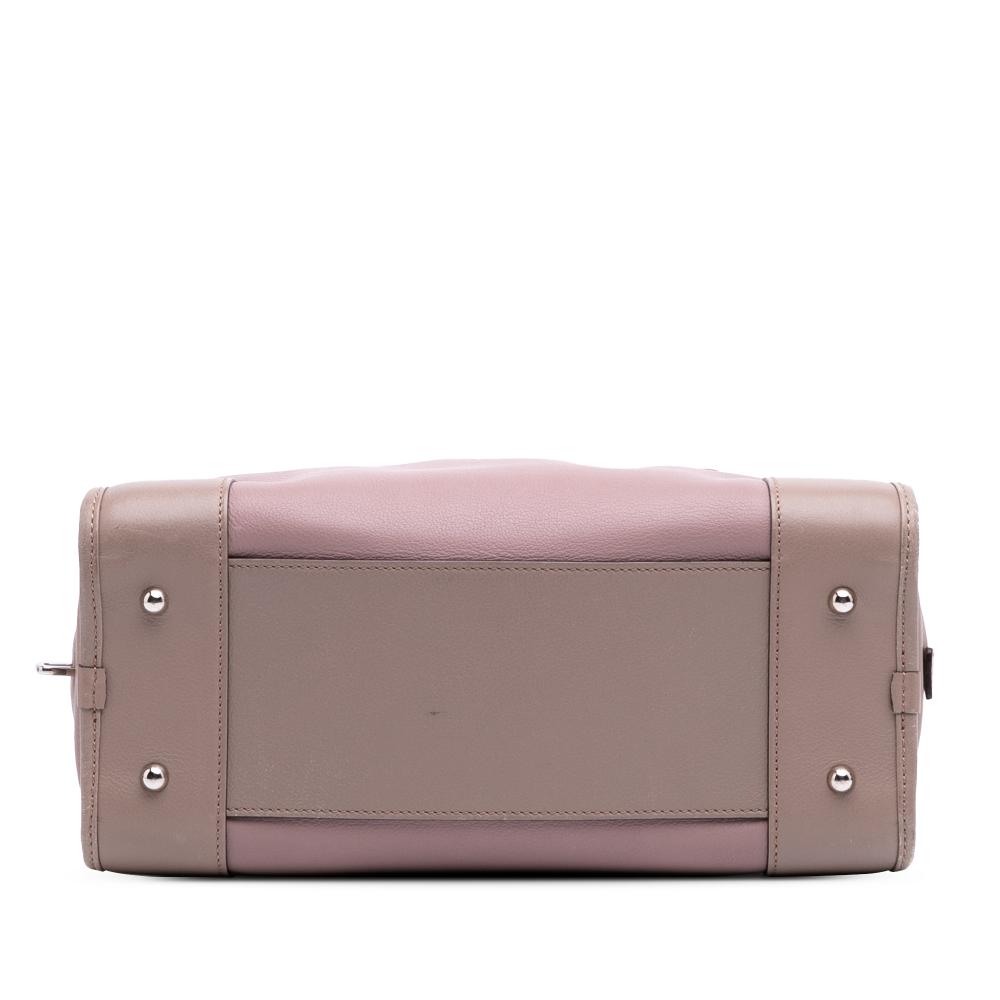 Loewe B LOEWE Pink Lily Calf Leather Tricolor Amazona 28 Spain