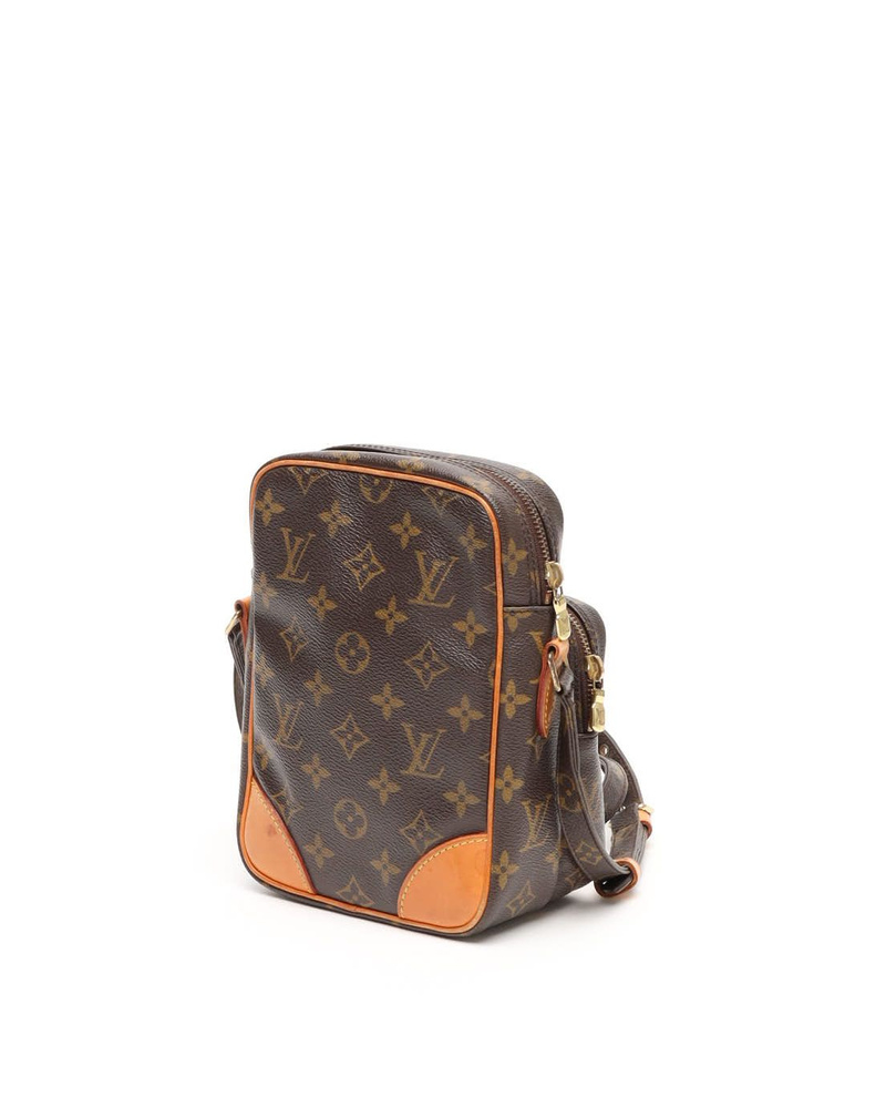 Louis Vuitton Monogram Amazon Bag