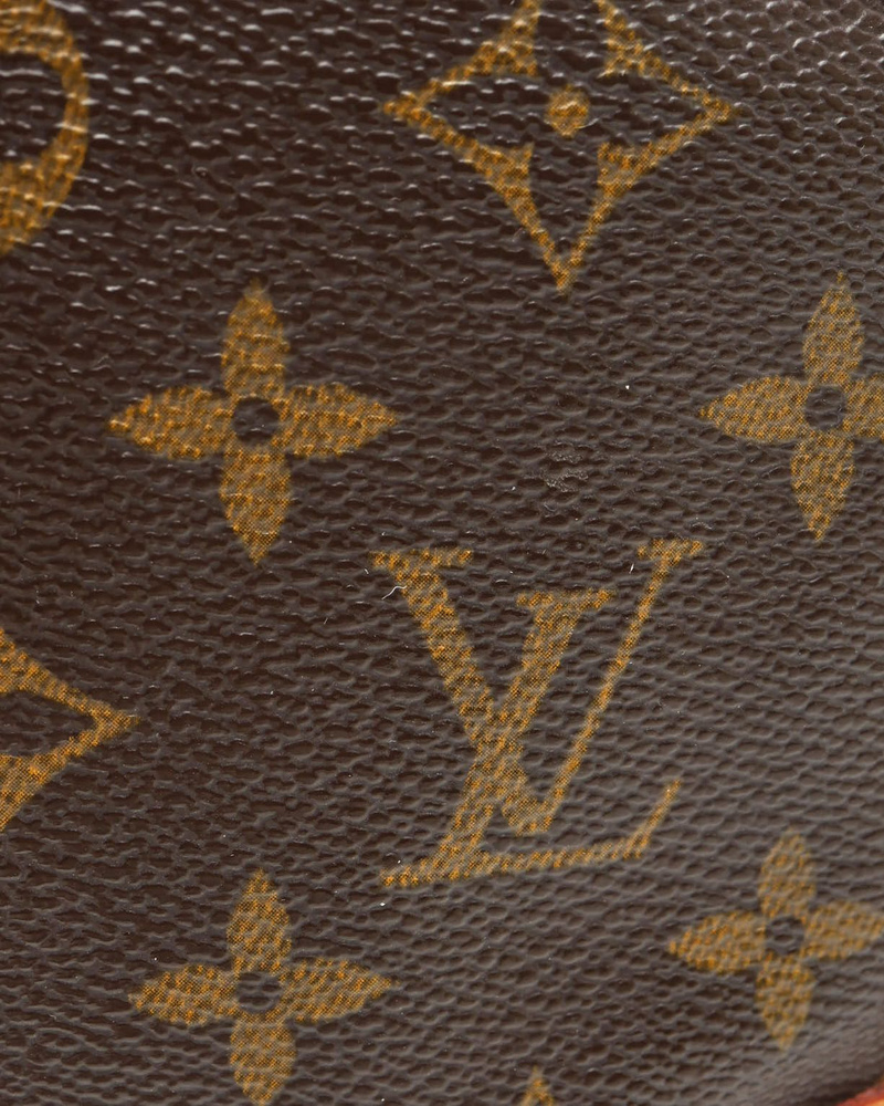 Louis Vuitton Monogram Amazon Bag