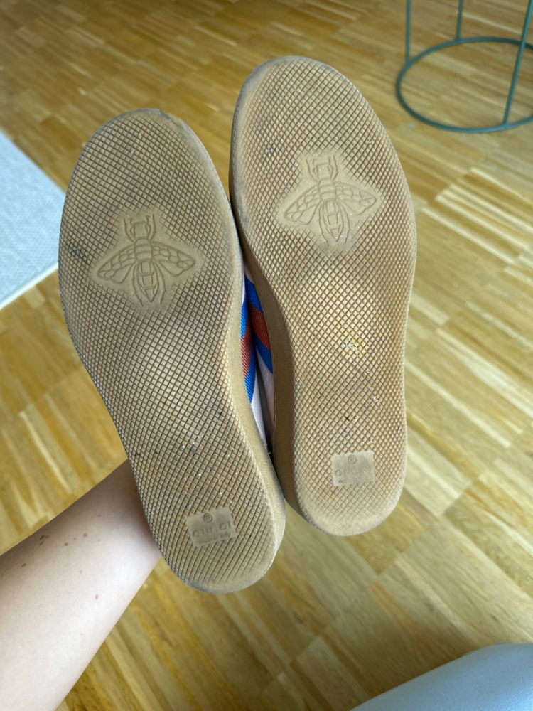 Gucci Ace trainer with web