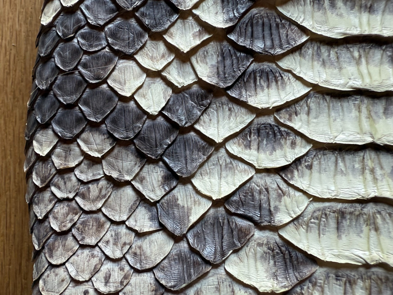 Amanda Wakeley Belle pochette, rare et polyvalente