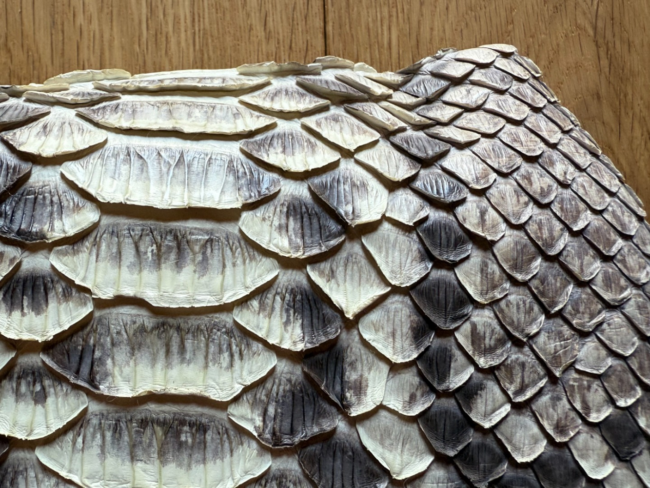 Amanda Wakeley Belle pochette, rare et polyvalente