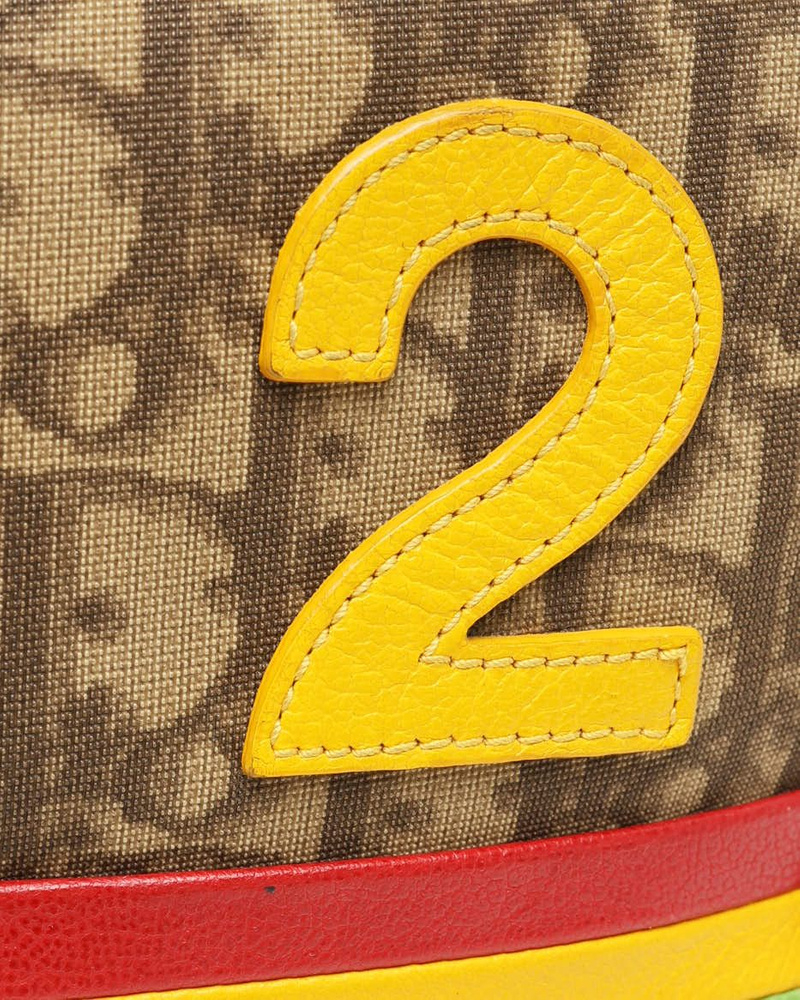 Christian Dior Oblique Rasta Camera Bag