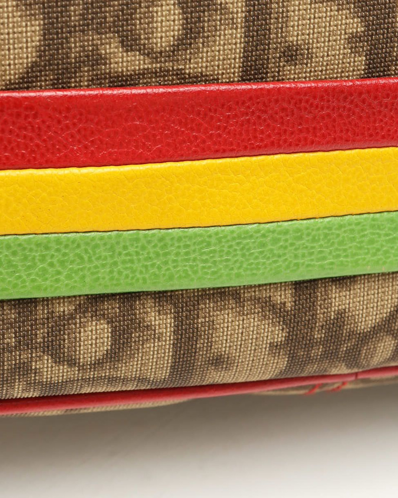 Christian Dior Oblique Rasta Camera Bag