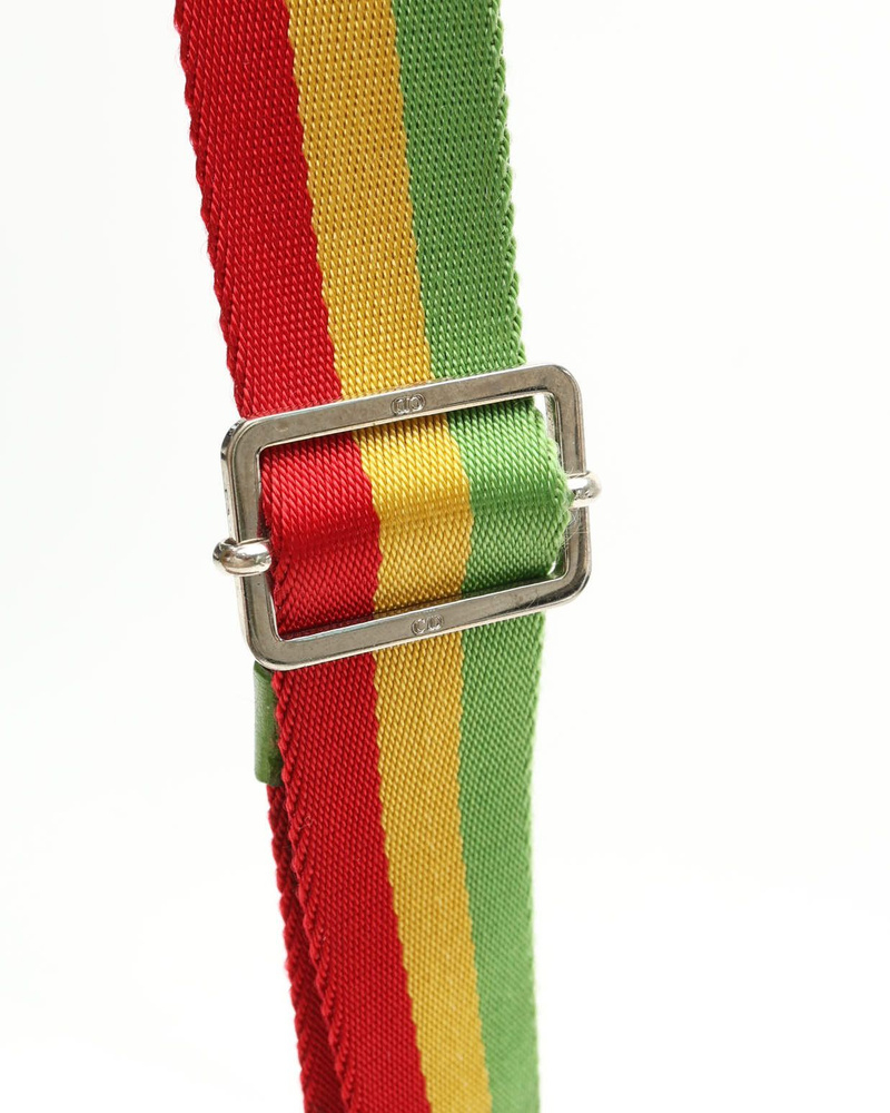 Christian Dior Oblique Rasta Camera Bag