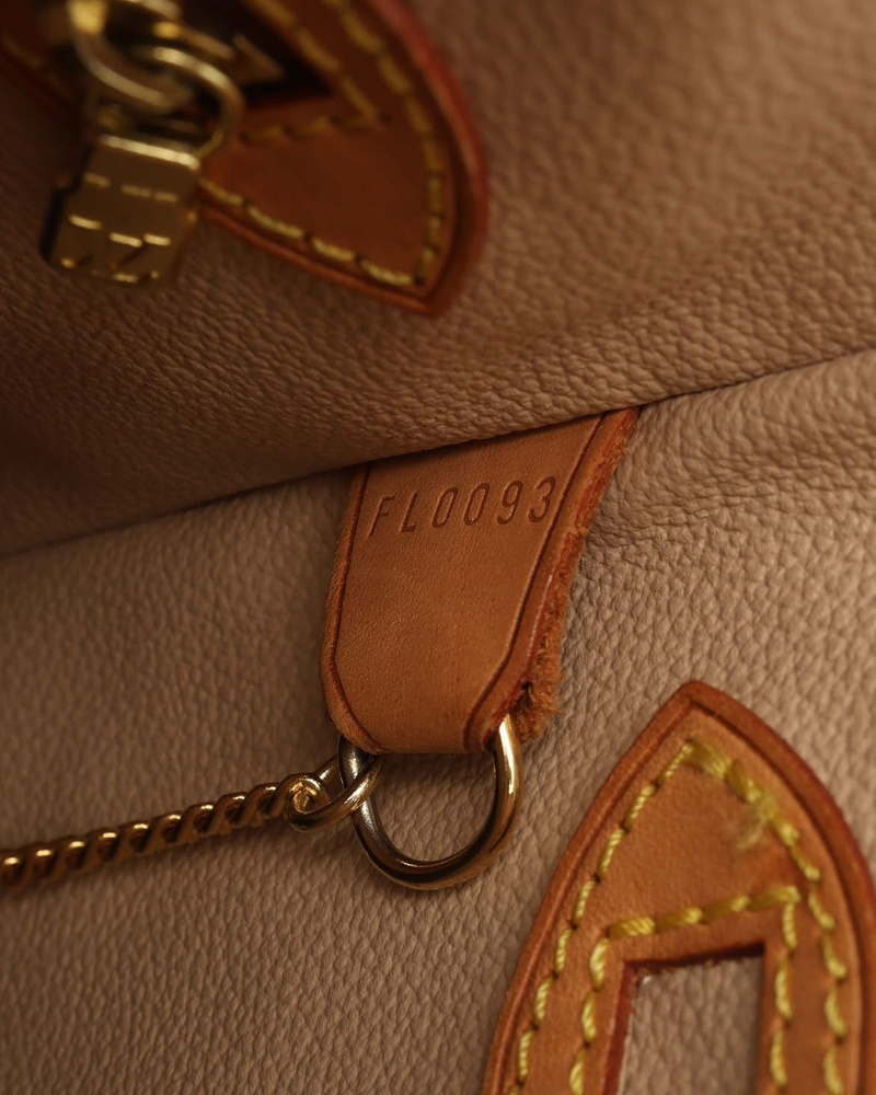 Louis Vuitton Monogram Bucket PM Bag