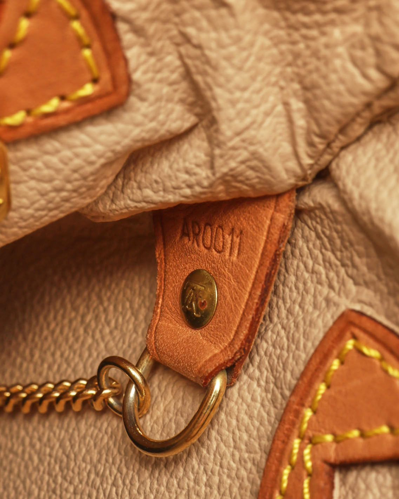 Louis Vuitton Monogram Bucket PM Bag