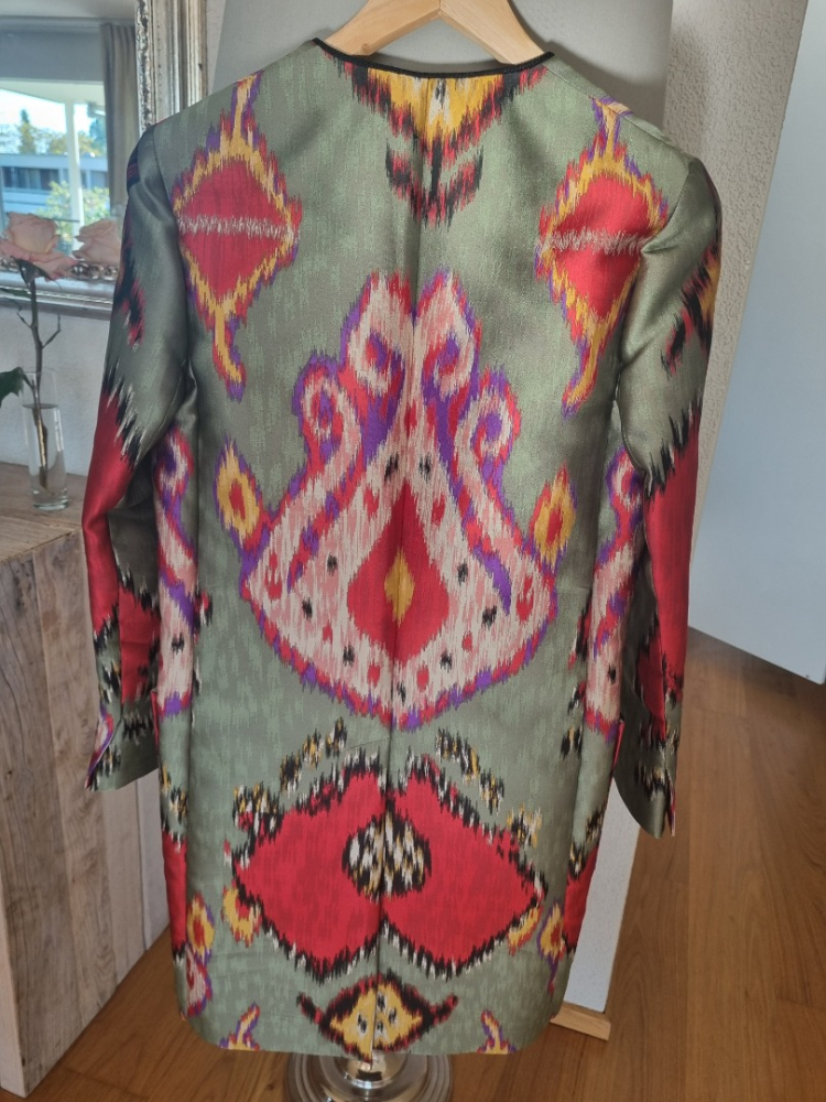 Etro ikat print jaket in sage