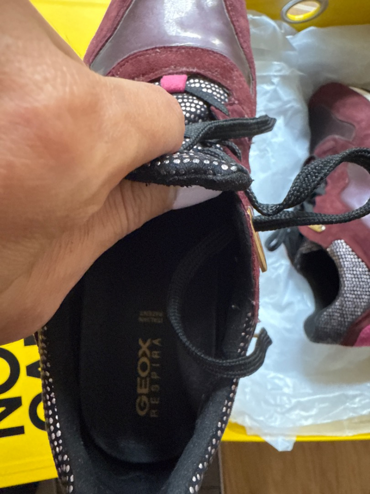 Geox SHAHIRA D44N1A Bourgogne