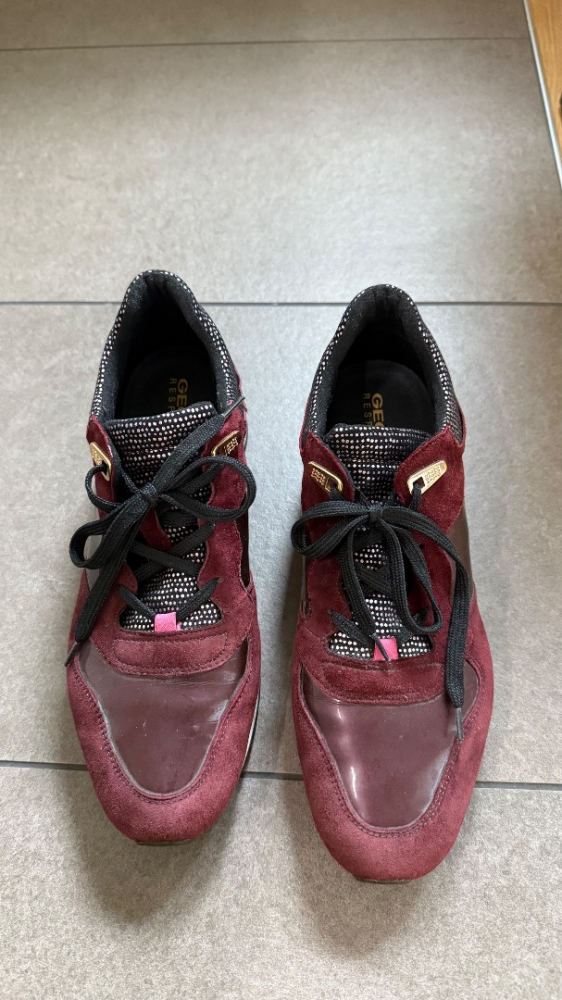 Geox SHAHIRA D44N1A Bourgogne