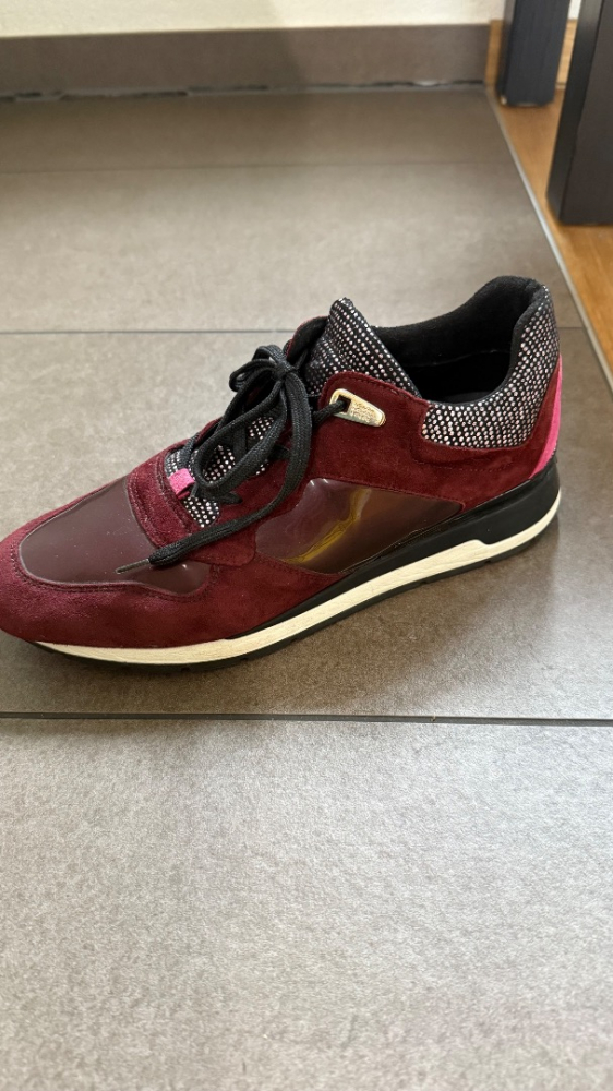 Geox SHAHIRA D44N1A Bourgogne