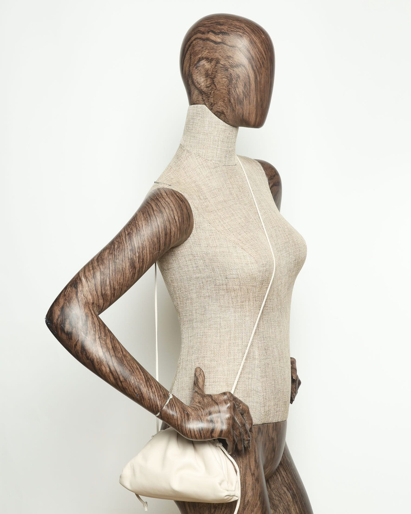 Bottega Veneta Mini The Pouch Bag