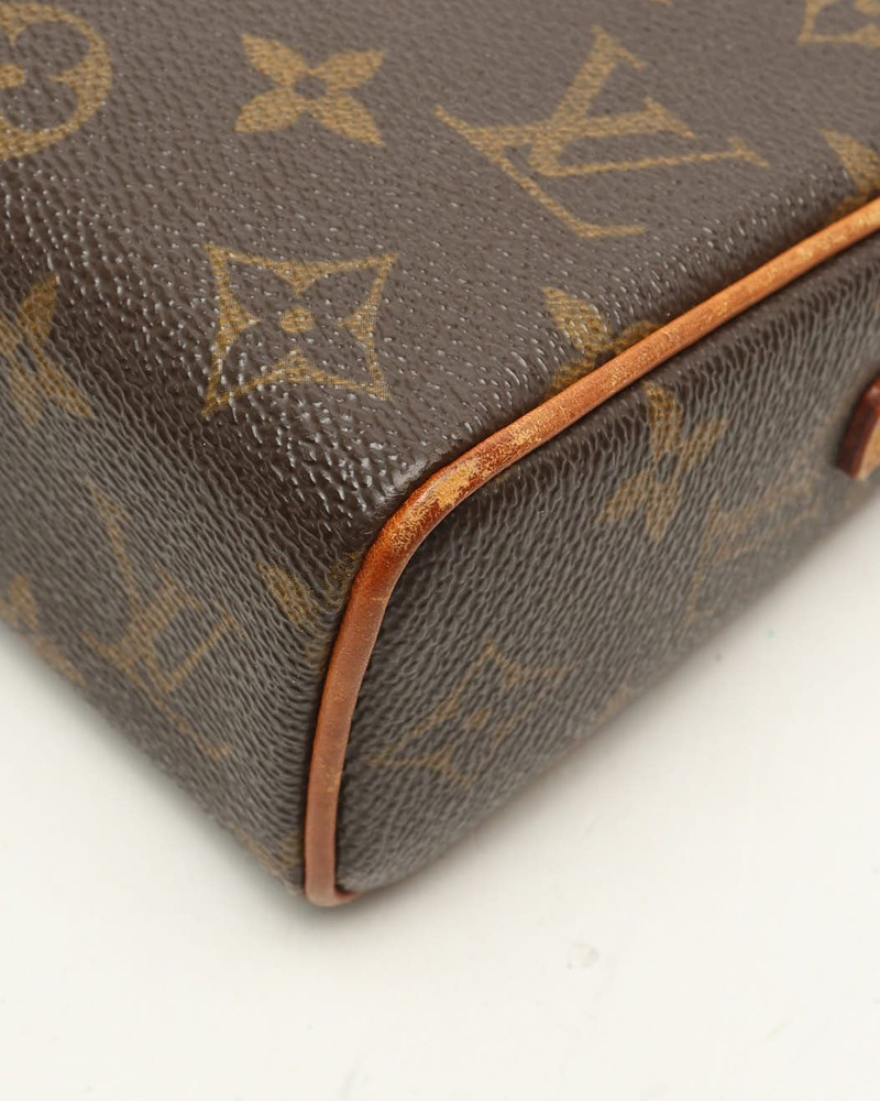 Louis Vuitton Monogram Recital Bag