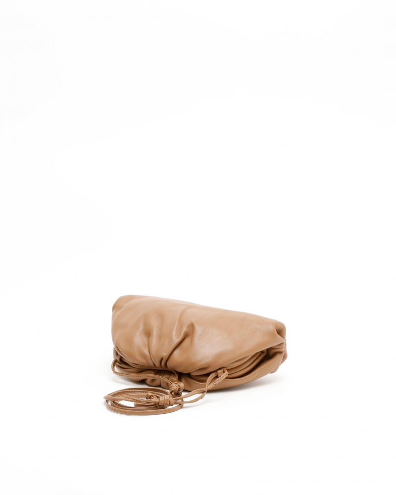 Bottega Veneta Mini The Pouch Bag
