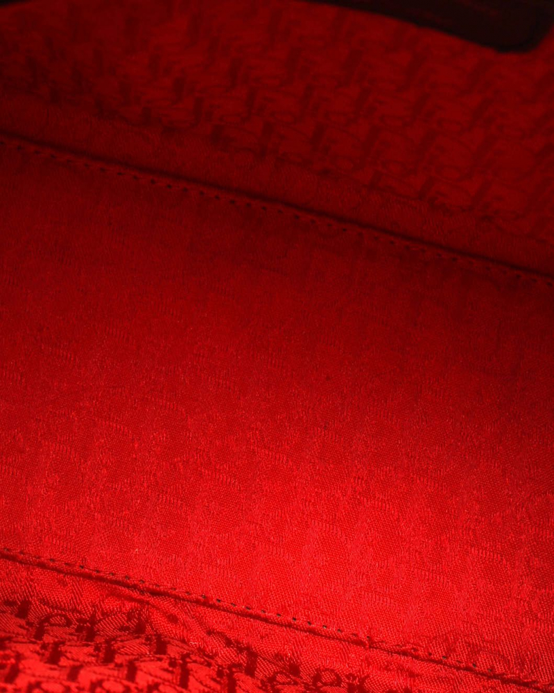 Christian Dior Medium Lady Dior Bag