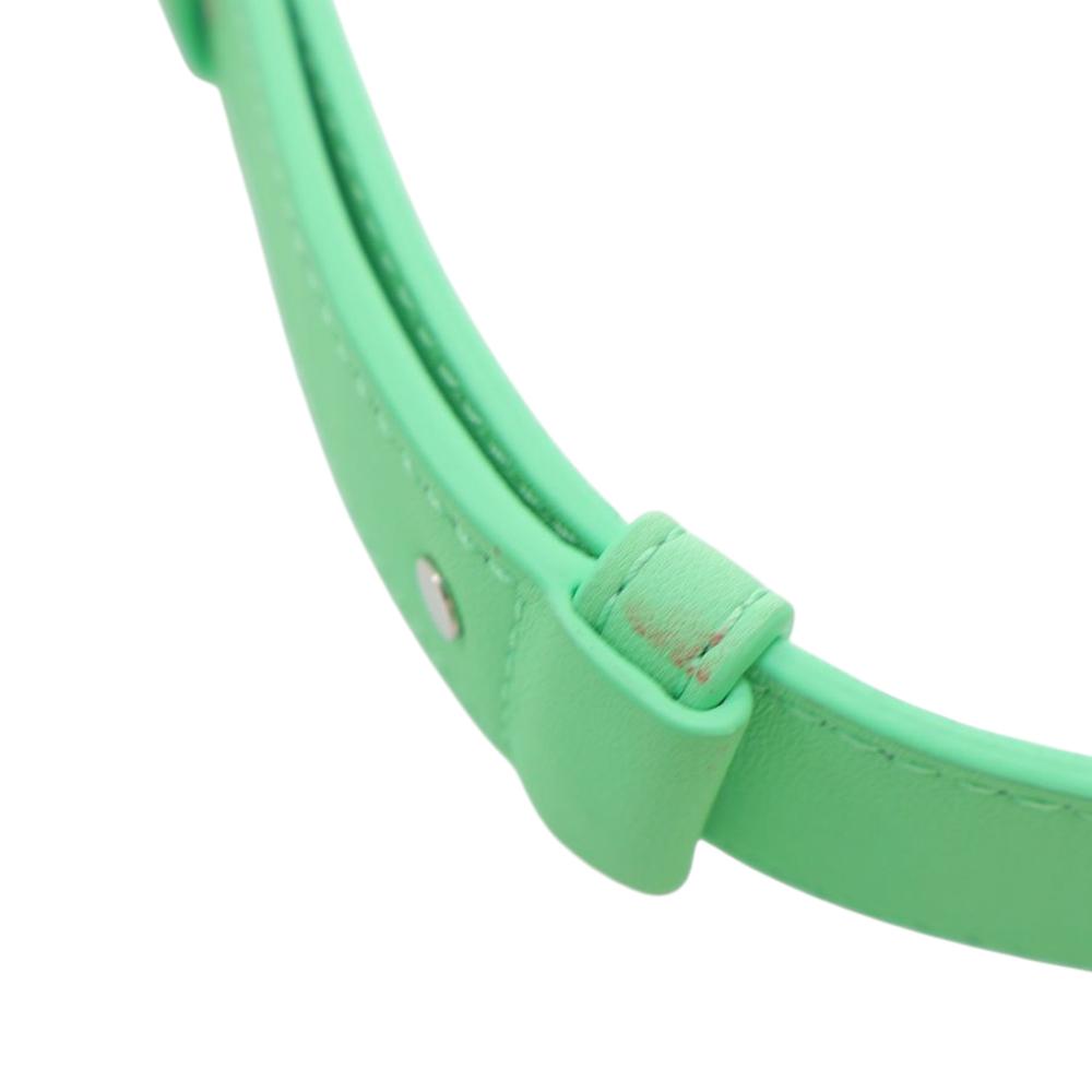 Bottega Veneta AB Bottega Veneta Green Light Green Nappa Leather Leather Nappa Intrecciato Cassette Crossbody Italy