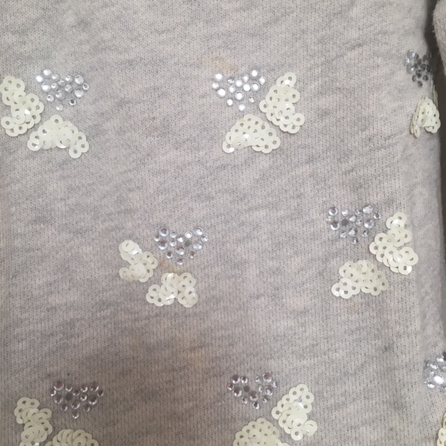 J.Crew Sparkly sweat