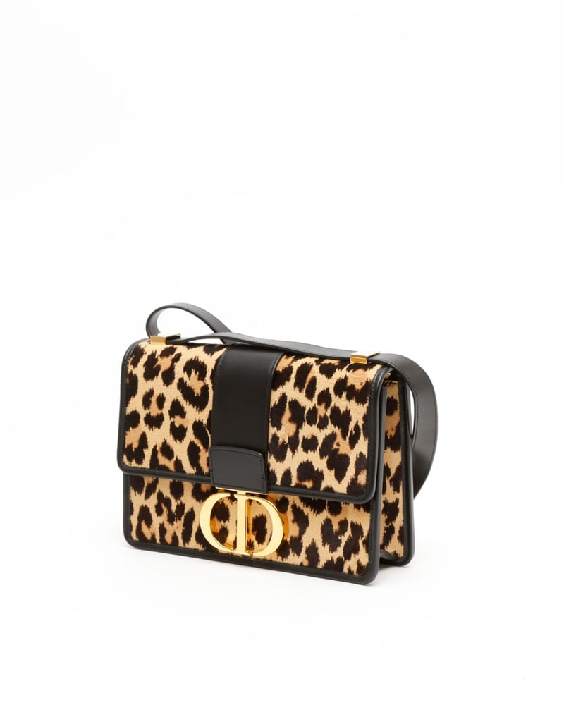 Christian Dior Leopard 30 Montaigne Bag