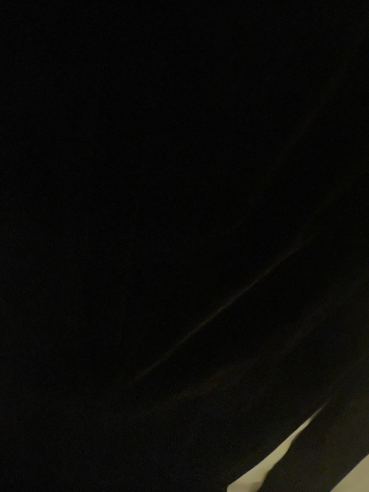 MONSOON Schwarzer Samtmantel