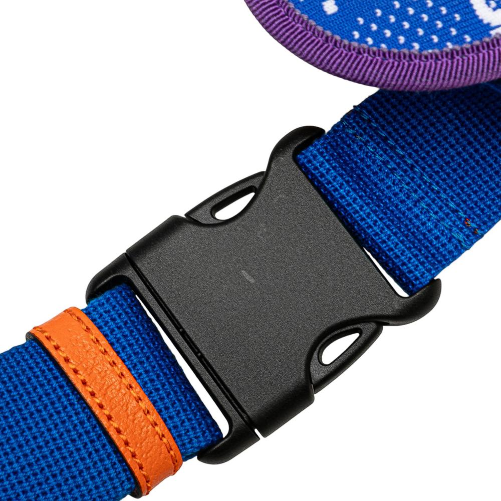 Gucci AB Gucci Blue Nylon Fabric GG and Rubber Belt Bag Italy