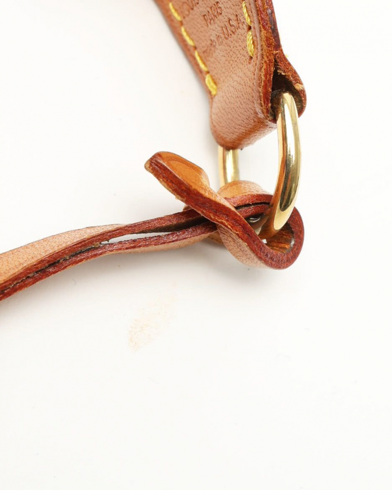 Louis Vuitton Monogram Pochette Accessoires Bag