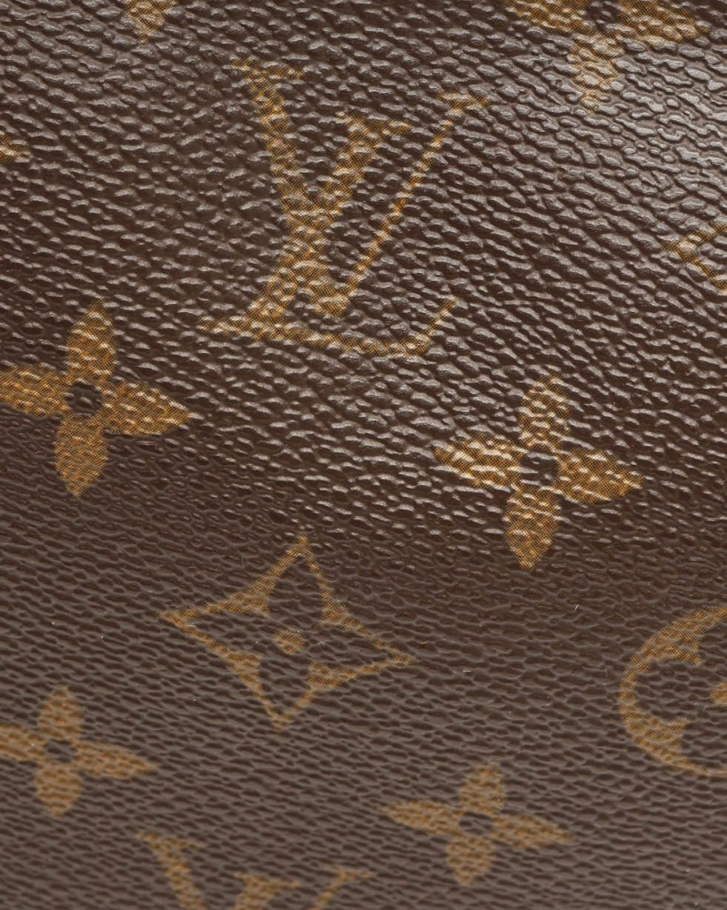 Louis Vuitton Monogram Pochette Accessoires Bag