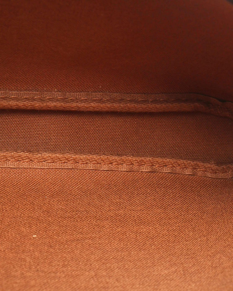 Louis Vuitton Monogram Pochette Accessoires Bag