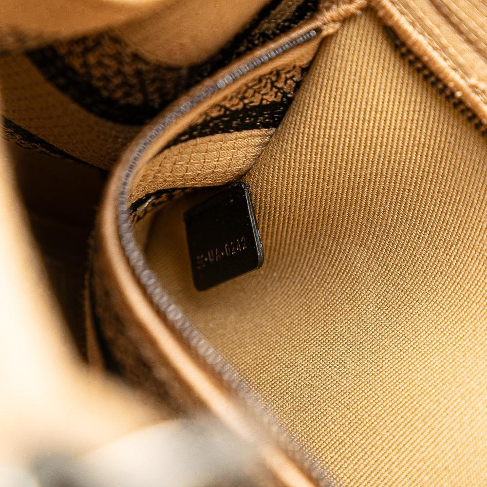 Christian Dior B Dior Brown Beige Canvas Fabric Medium Jute Embroidered Lady D Lite Italy