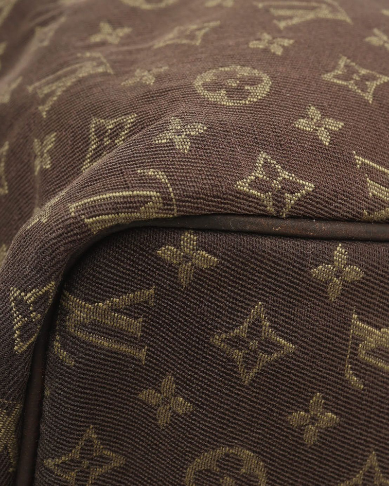 Louis Vuitton Mini Lin Speedy 30 Bag