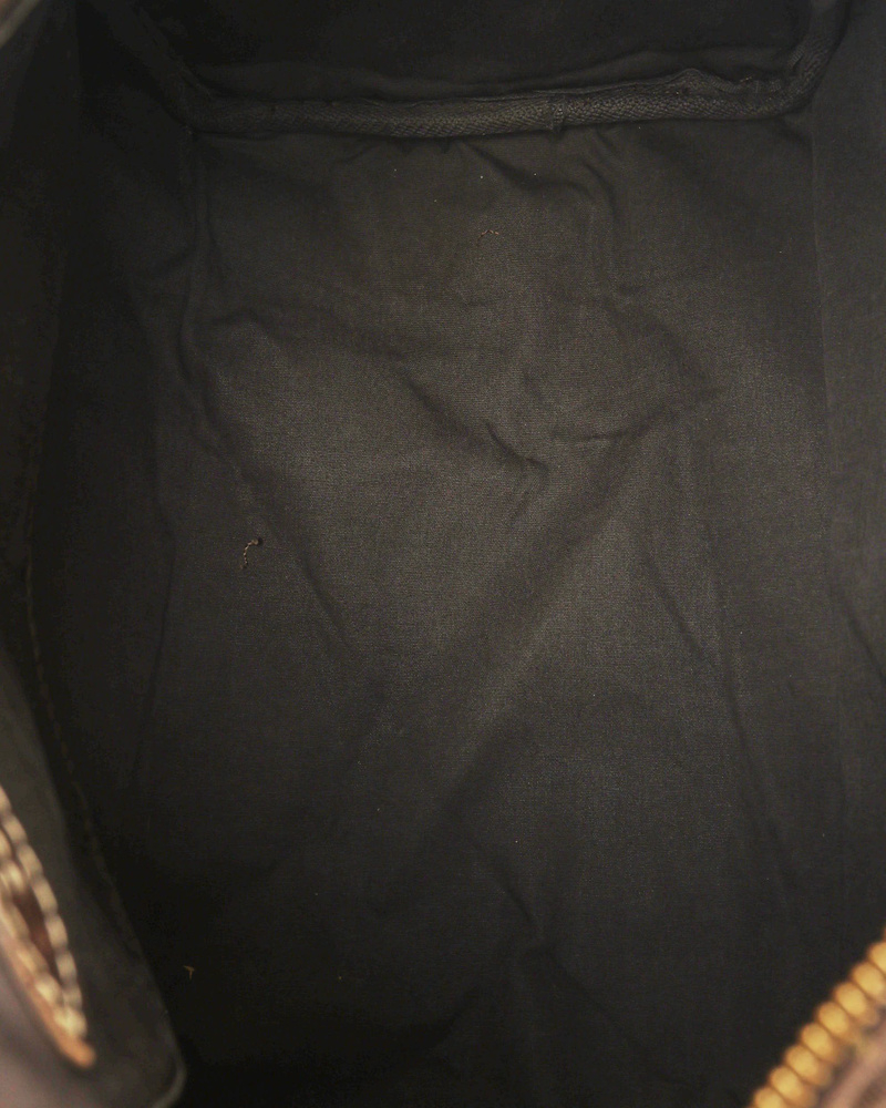 Louis Vuitton Mini Lin Speedy 30 Bag