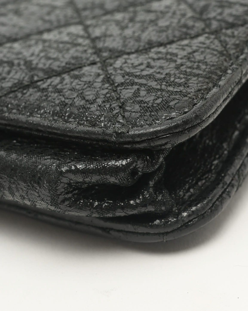 Chanel Shimmery Wallet On Chain Bag