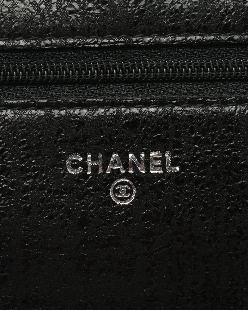 Chanel Shimmery Wallet On Chain Bag