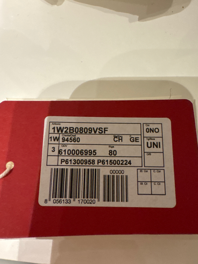 Valentino Camera bag