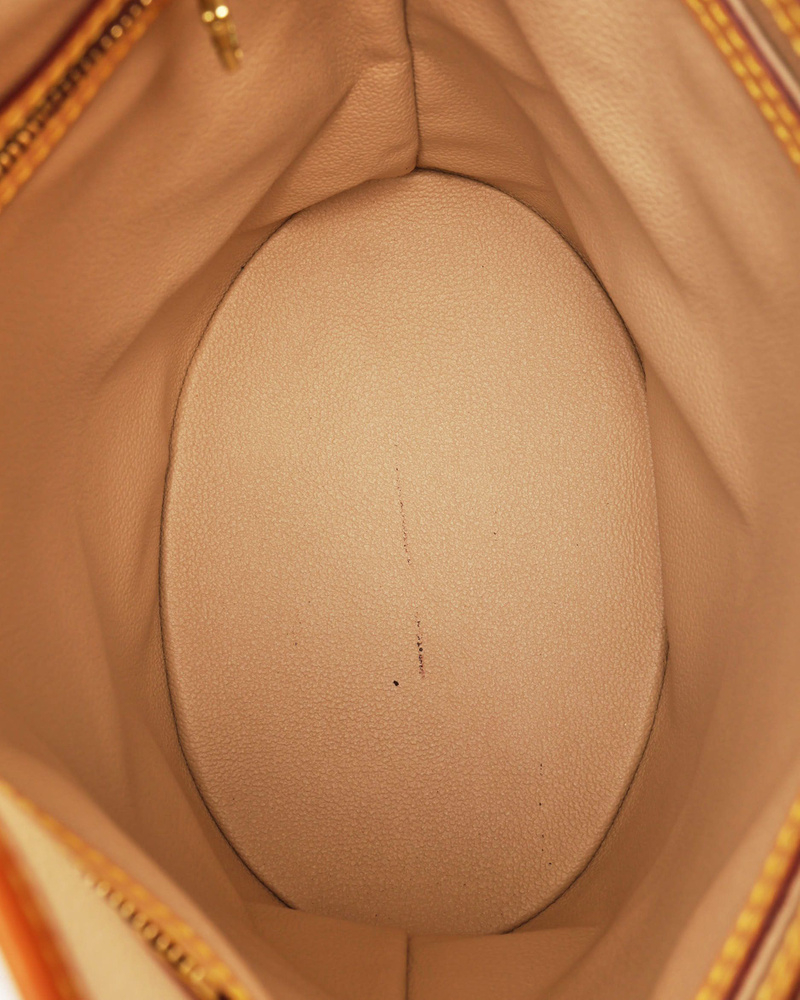 Louis Vuitton Monogram Bucket PM Bag